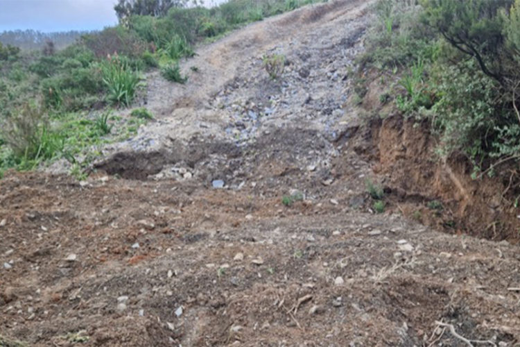 zanja-bajada-perreras-001