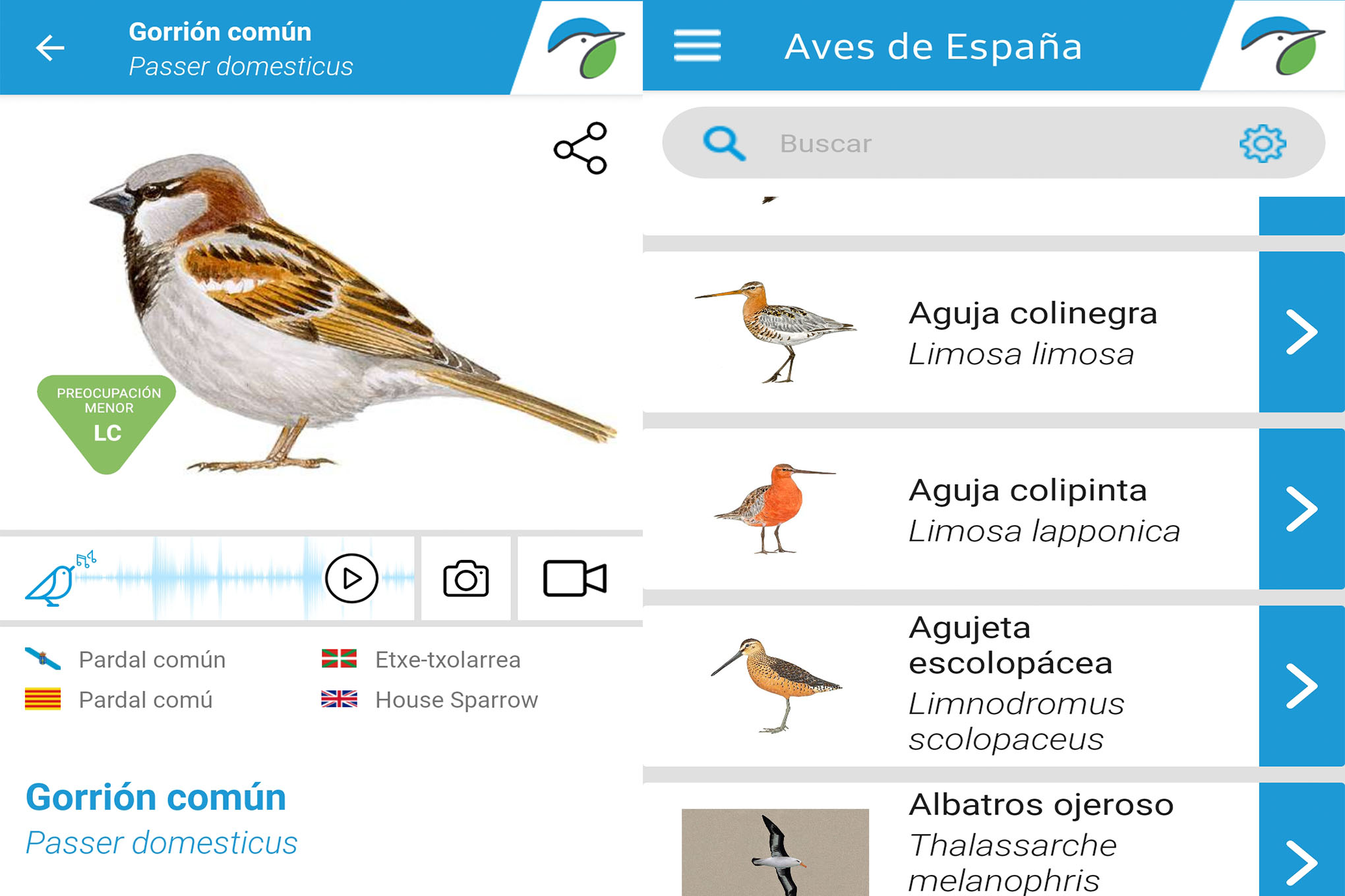 Folo Rodríguez de la Fuente - Página 3 Aves-ceuta-nueva-app-seo-birdlife