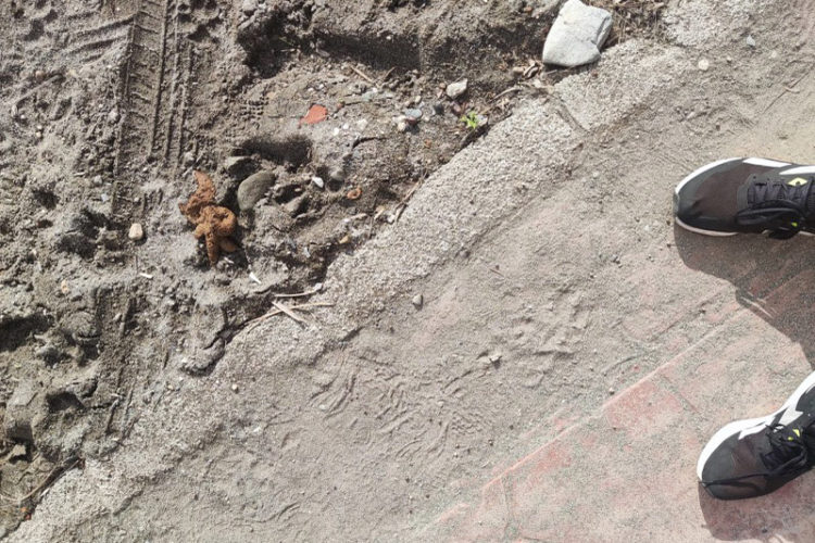 excrementos-perro-playa-001