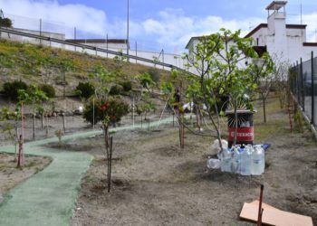 huerto-frutal-sidi-embarek-002