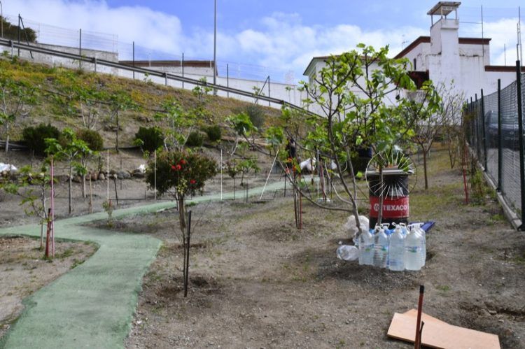 huerto-frutal-sidi-embarek-002