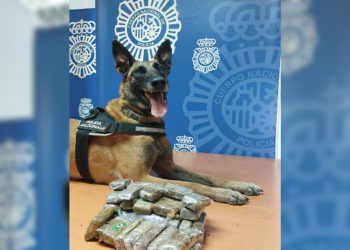 nea-perro-policia-hachis