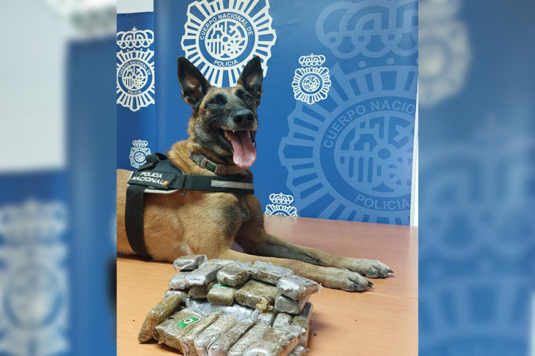 nea-perro-policia-hachis
