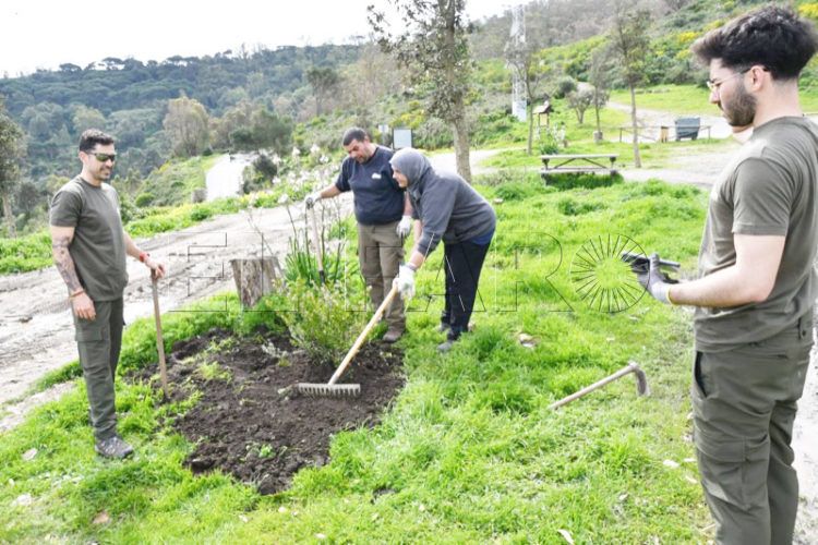 reforestacion-aranguren-obimasa-tragsa-003