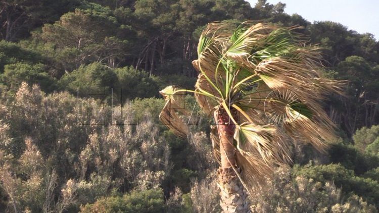 asi-lucha-passio-per-formentera-contra-levante-temporal-003