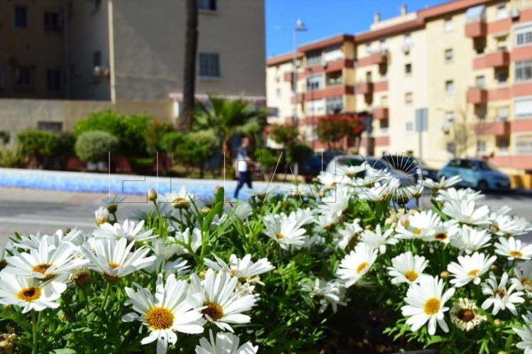 flores-parques-jardines-tragsa-002