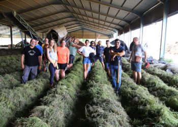 alumnos-clara-campoamor-taller-plantas-aromaticas-5