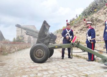 canonazo-12-desnarigado