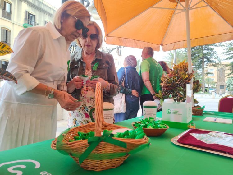 cuestacion-asociacion-cancer-vivas-19