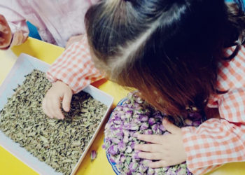 pecera-olimpiadas-coeducativas-1