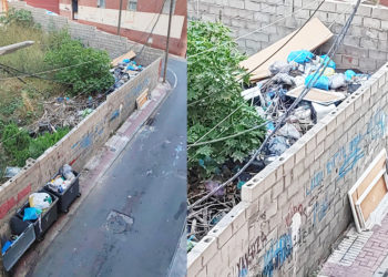 basura-solar-abandonado-pasaje-recreo-calle-isidoro-martinez-3