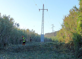 empresa-alumbrado-poda-corredores-lineas