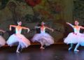 escuela-danza-rosa-founaud-espectaculo-efimero-eterno-107