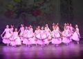 escuela-danza-rosa-founaud-espectaculo-efimero-eterno-119