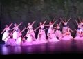escuela-danza-rosa-founaud-espectaculo-efimero-eterno-156