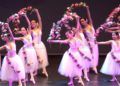espectaculo-encanto-escuela-danza-rosa-founaud-4