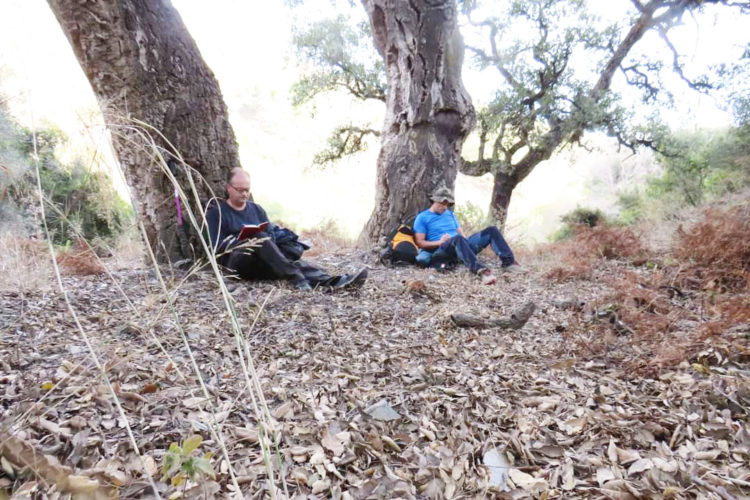 jose-manuel-perez-oscar-ocana-septem-nostra