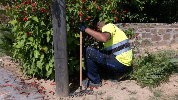 trabajadores-tragsa-medio-ambiente-jardines-zonas-verdes-19