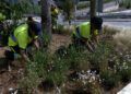 trabajadores-tragsa-medio-ambiente-jardines-zonas-verdes-2
