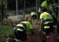 trabajadores-tragsa-medio-ambiente-jardines-zonas-verdes-4