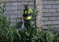 trabajadores-tragsa-medio-ambiente-jardines-zonas-verdes-6