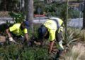 trabajadores-tragsa-medio-ambiente-jardines-zonas-verdes-9