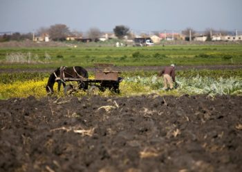 agricultores-marruecos