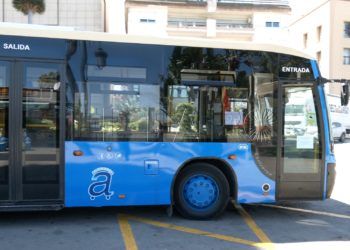 autobuses-amgevicesa