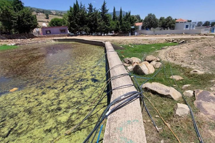 chaouen-sin-agua-regar-plantaciones-marihuana