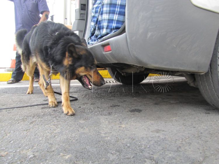 control-guardia-civil-coches-puerto-perro