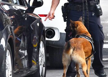 frontera-control-policia-nacional-perro