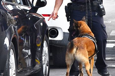 frontera-control-policia-nacional-perro
