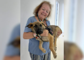 madre-hermy-vicente-dia-internacional-perro