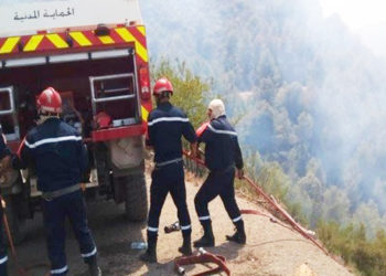 marruecos-incendios-argelia-muertos