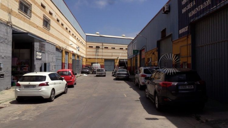 poligono-tarajal-reinventa-sobrevivir-comerciantes-043