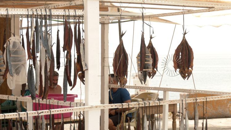 salazones-explanada-chorrillo-10