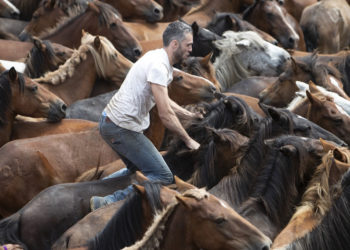 sensacion-politica-caerse-caballo