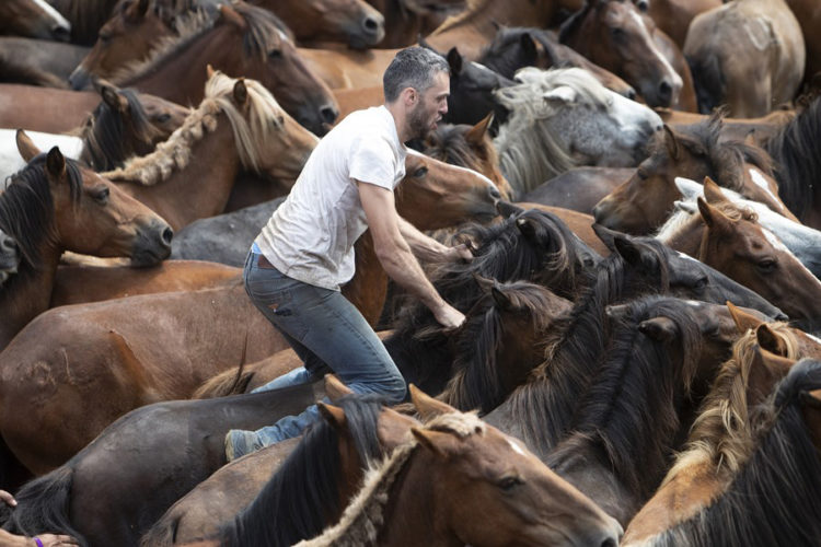 sensacion-politica-caerse-caballo