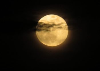 superluna-flores-colaboracion-007