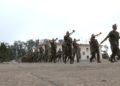 banda-guerra-segundo-tercio-legion-ceuta-18