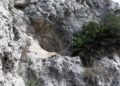 cueva-abrigo-benzu-visita-yacimiento-arqueologico-benzu-10