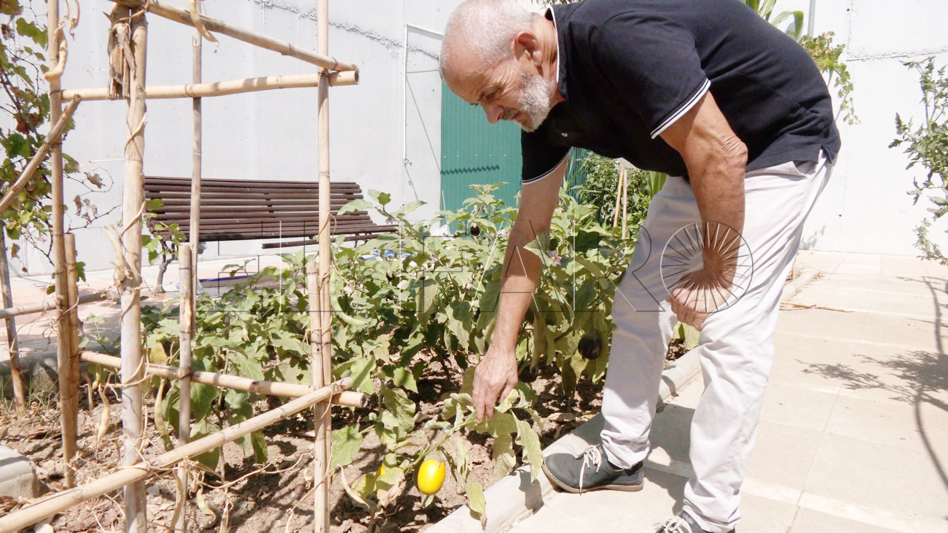 huerto-ecologico-hassan-principe