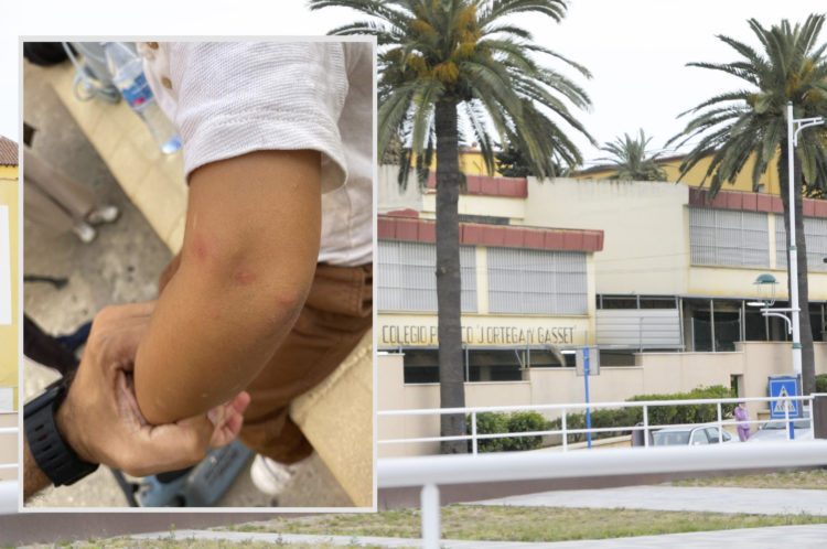 pulgas-colegio-ortega-gasset