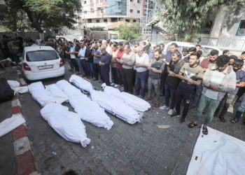 ceuta-ya-solicita-sanchez-actue-contribuir-paz-gaza-001