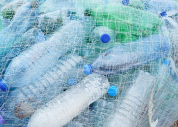 alertan-patogenos-resistentes-antibioticos-plasticos