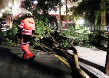 incidencias-viento-caida-arboles-sin-luz-benzu