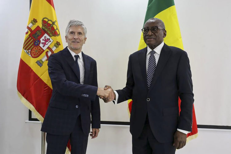 marlaska-entrada-inmigrantes-irregulares-no-esta-mal