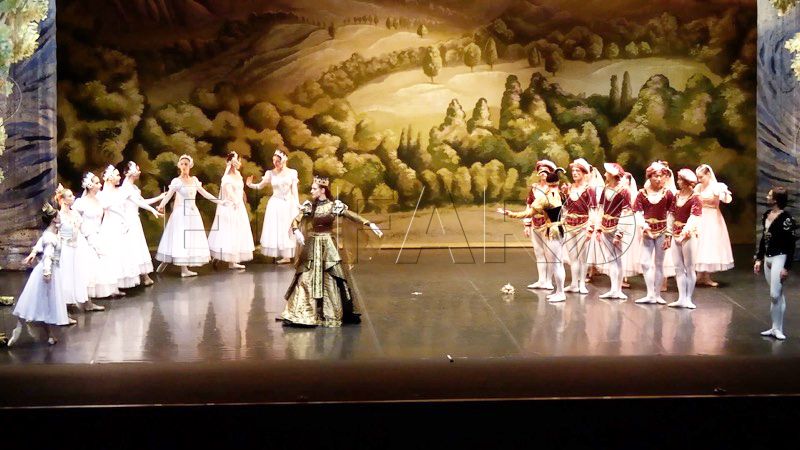 publico-rendido-ballet-clasico-lago-cisnes