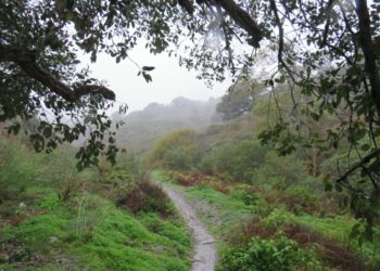 estampas-otonales-iii-004