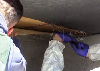 negocio-redondo-abortado-hachis-restos-animales-muertos